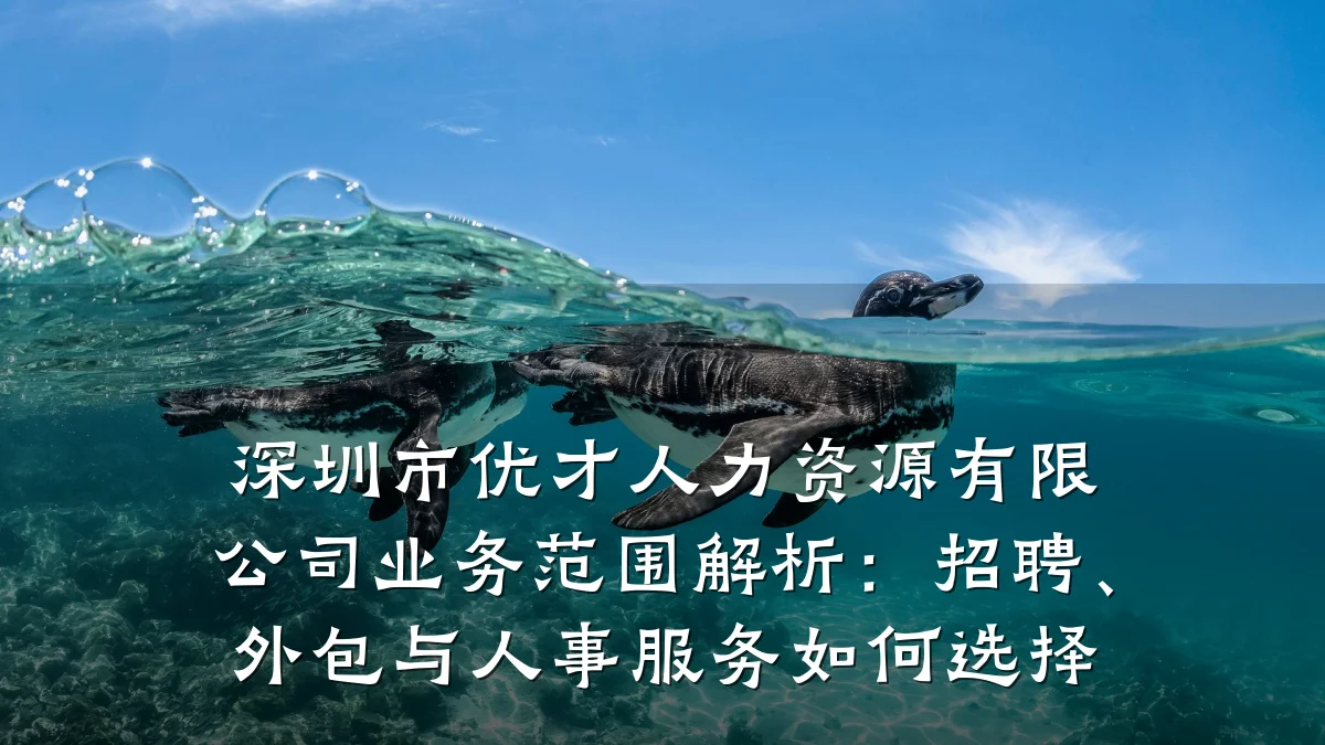 深圳市优才人力资源有限公司业务范围解析：招聘、外包与人事服务如何选择