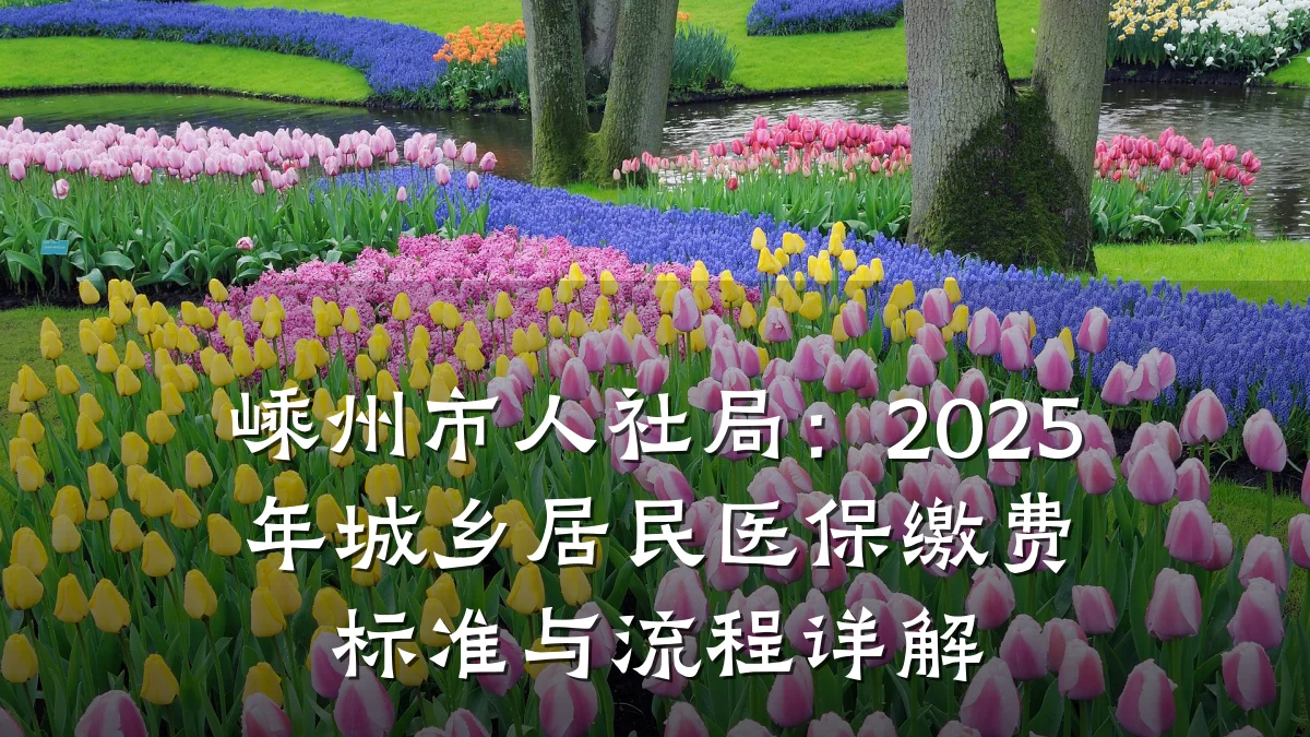 嵊州市人社局：2025年城乡居民医保缴费标准与流程详解