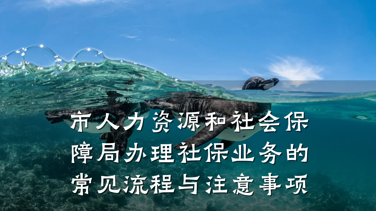 市人力资源和社会保障局办理社保业务的常见流程与注意事项