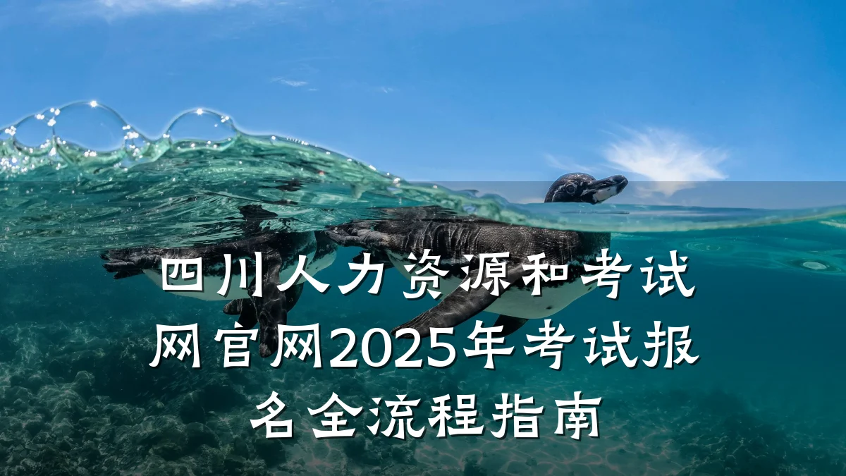 四川人力资源和考试网官网2025年考试报名全流程指南