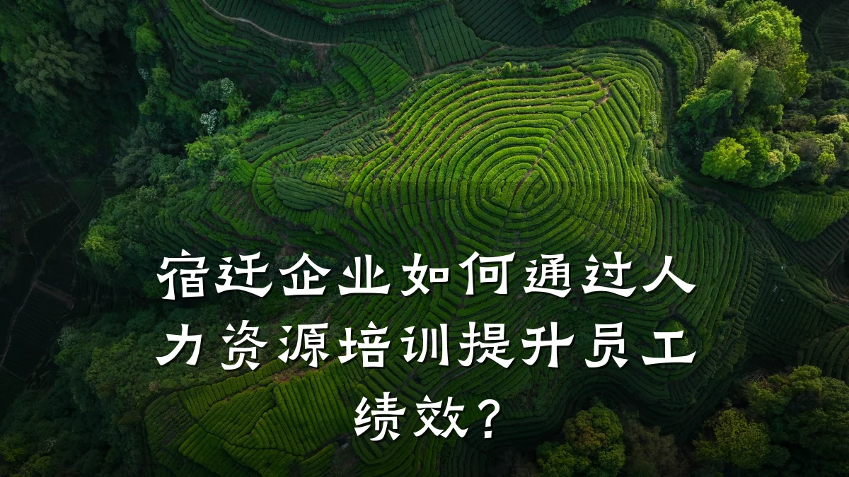 宿迁企业如何通过人力资源培训提升员工绩效?
