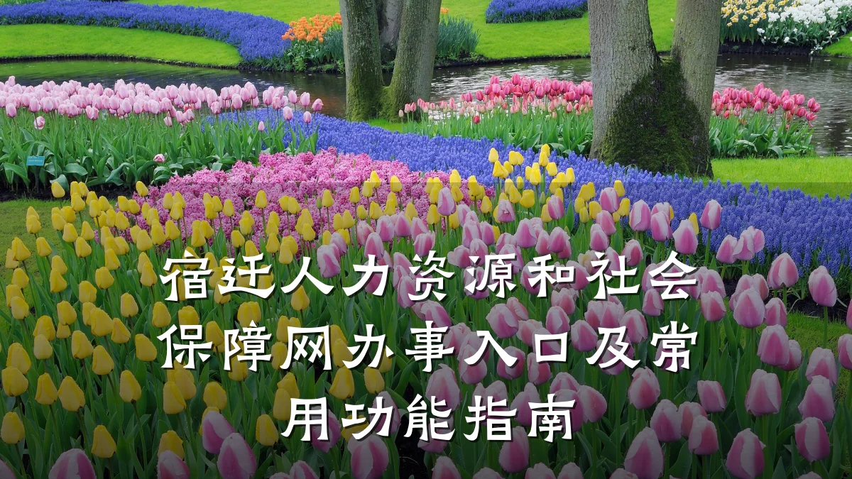 宿迁人力资源和社会保障网办事入口及常用功能指南