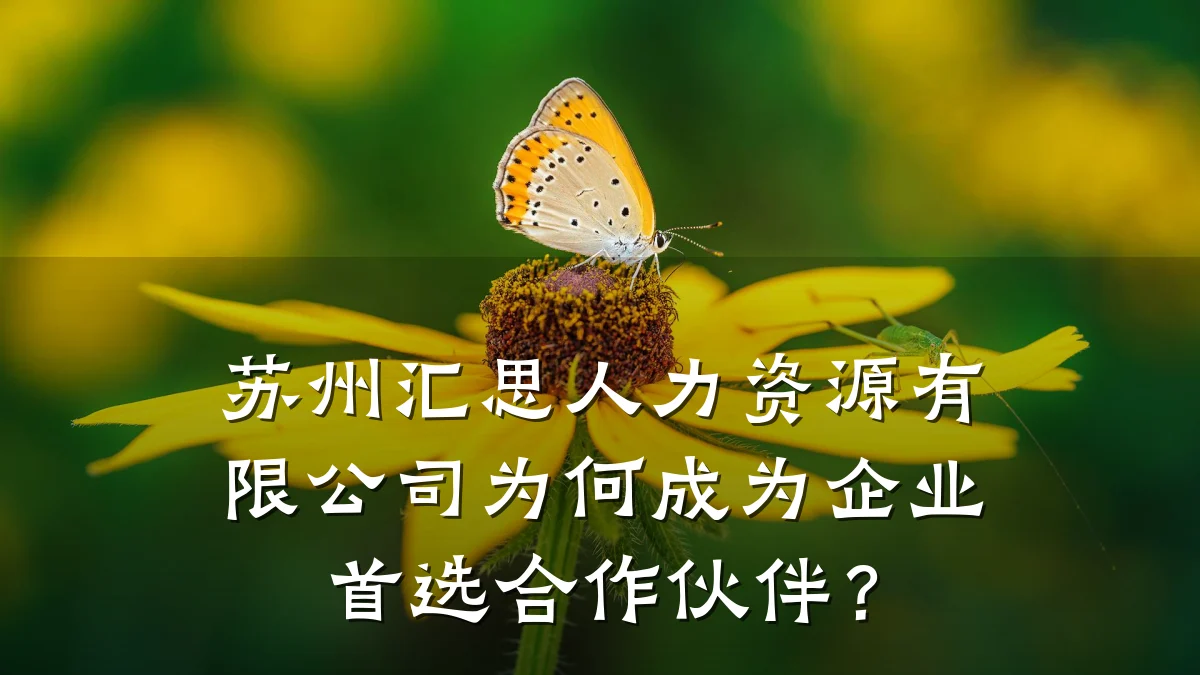 苏州汇思人力资源有限公司为何成为企业首选合作伙伴?