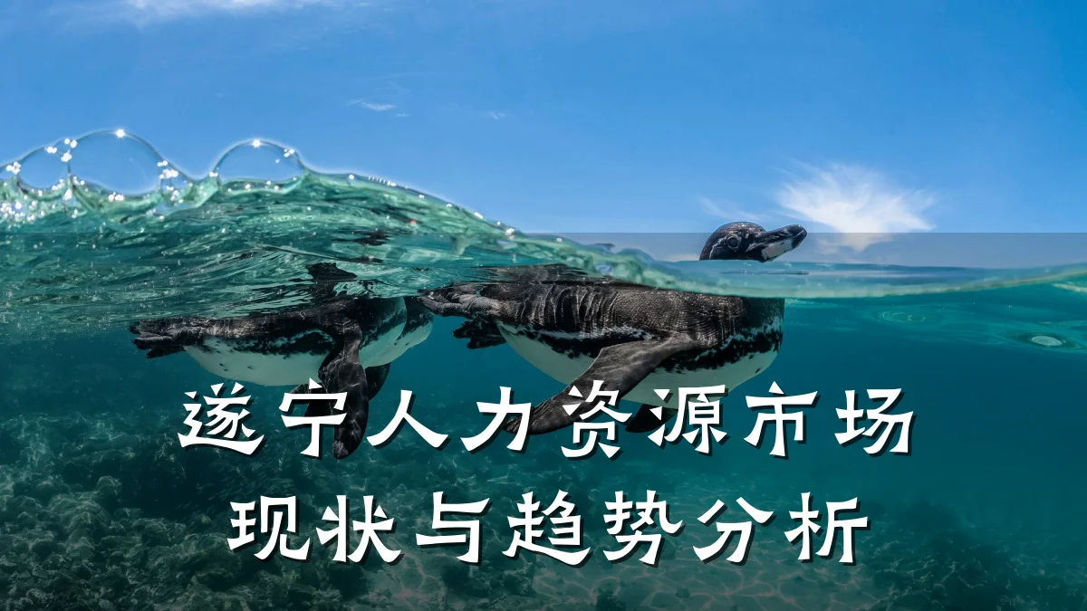 遂宁人力资源市场现状与趋势分析