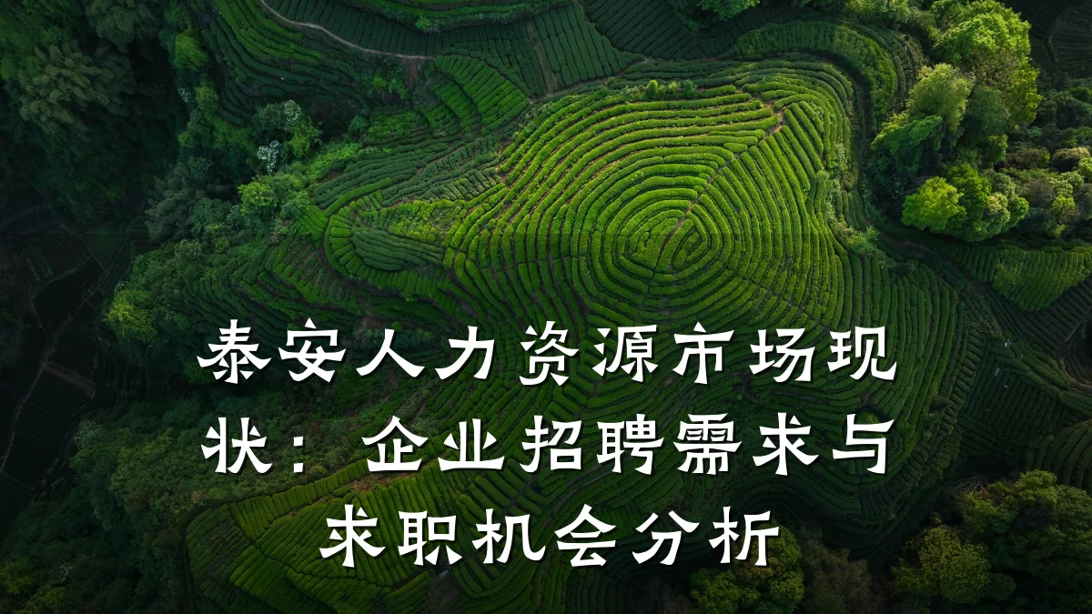 泰安人力资源市场现状：企业招聘需求与求职机会分析