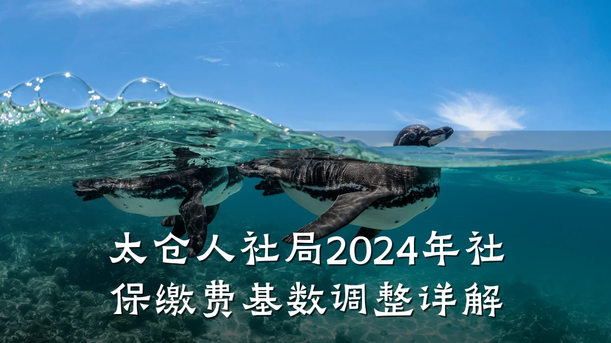 太仓人社局2024年社保缴费基数调整详解