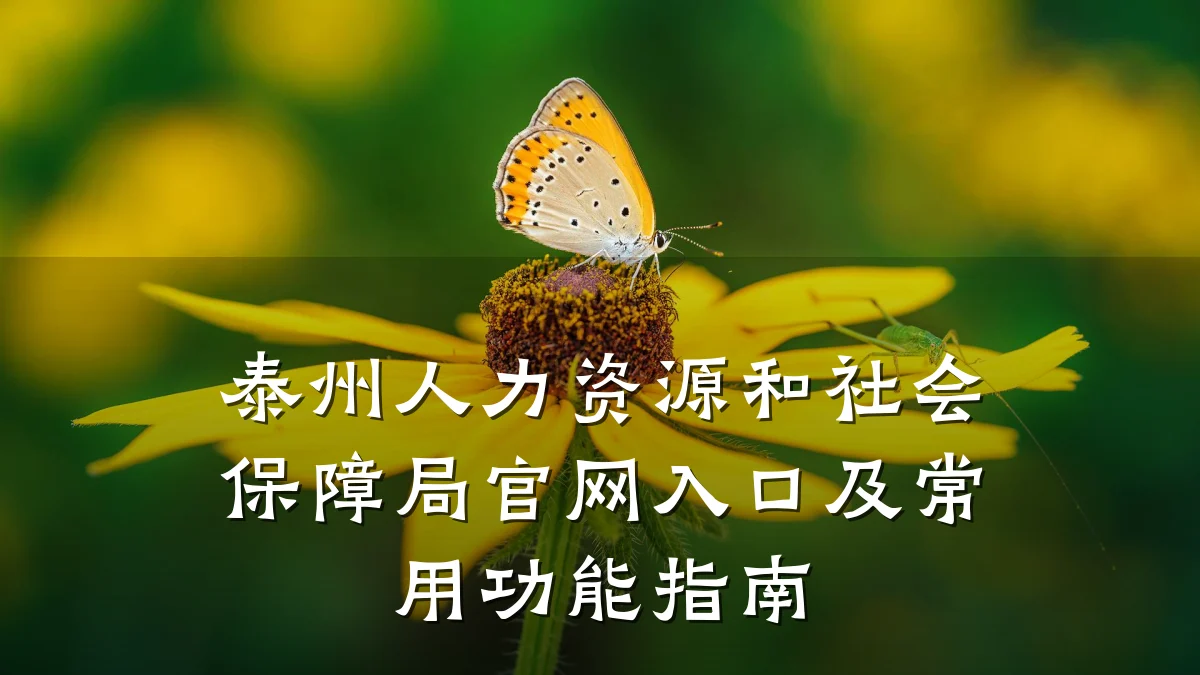 泰州人力资源和社会保障局官网入口及常用功能指南