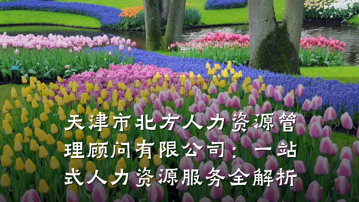 天津市北方人力资源管理顾问有限公司：一站式人力资源服务全解析
