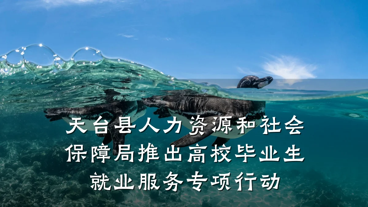 天台县人力资源和社会保障局推出高校毕业生就业服务专项行动