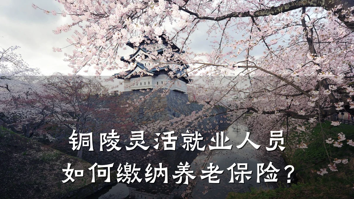 铜陵灵活就业人员如何缴纳养老保险？