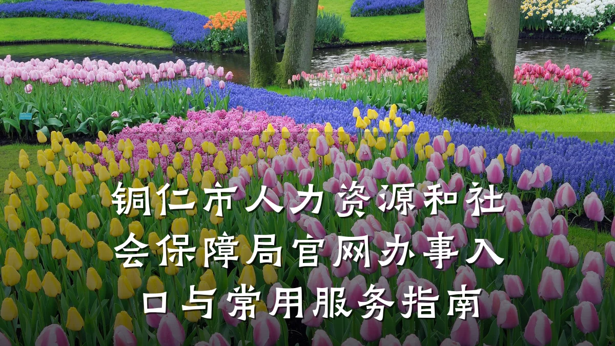 铜仁市人力资源和社会保障局官网办事入口与常用服务指南