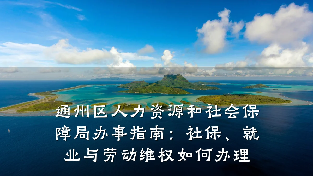 通州区人力资源和社会保障局办事指南：社保、就业与劳动维权如何办理
