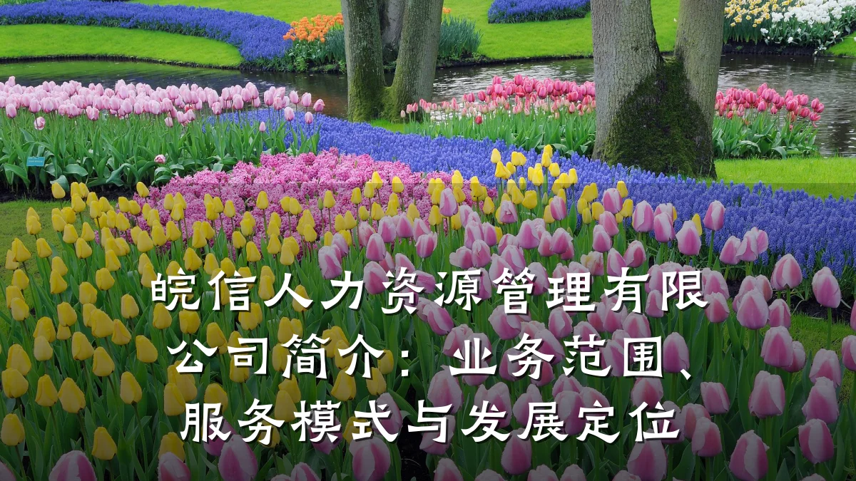 皖信人力资源管理有限公司简介:业务范围、服务模式与发展定位