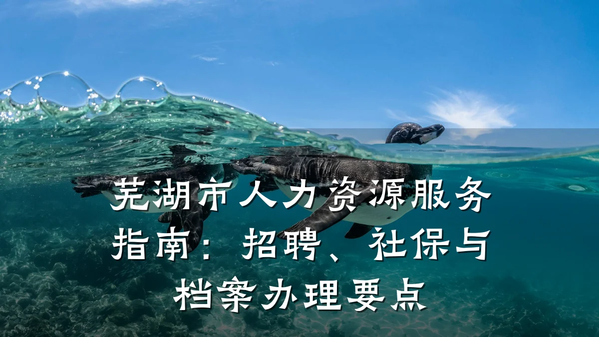 芜湖市人力资源服务指南：招聘、社保与档案办理要点