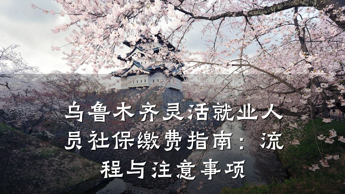 乌鲁木齐灵活就业人员社保缴费指南:流程与注意事项