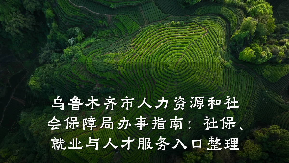 乌鲁木齐市人力资源和社会保障局办事指南:社保、就业与人才服务入口整理