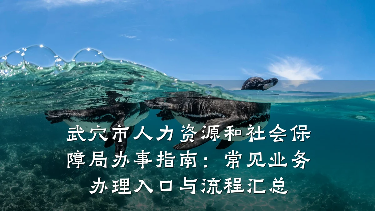 武穴市人力资源和社会保障局办事指南:常见业务办理入口与流程汇总