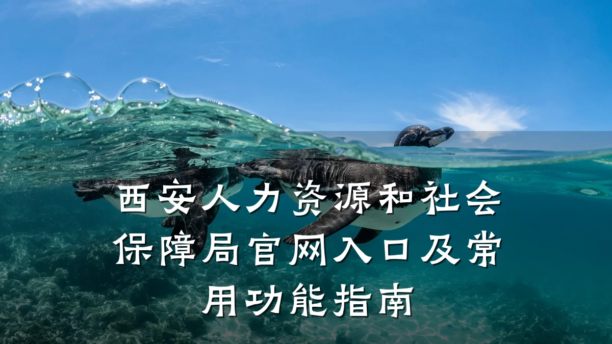西安人力资源和社会保障局官网入口及常用功能指南
