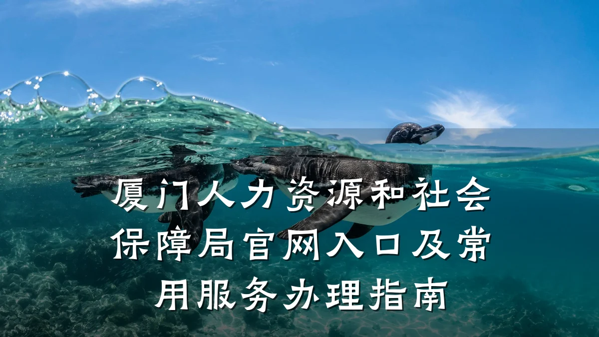厦门人力资源和社会保障局官网入口及常用服务办理指南