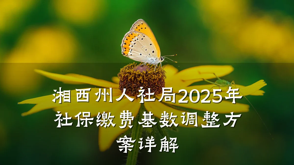 湘西州人社局2025年社保缴费基数调整方案详解