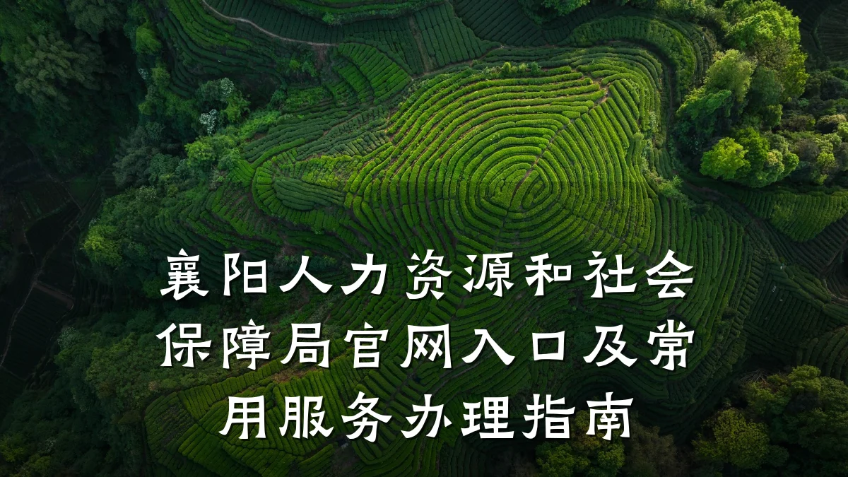 襄阳人力资源和社会保障局官网入口及常用服务办理指南