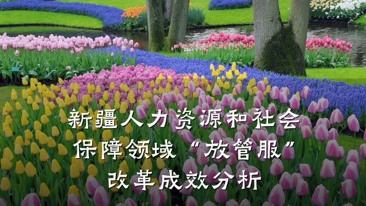 新疆人力资源和社会保障领域“放管服”改革成效分析