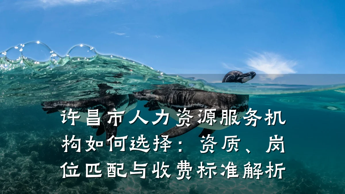 许昌市人力资源服务机构如何选择:资质、岗位匹配与收费标准解析
