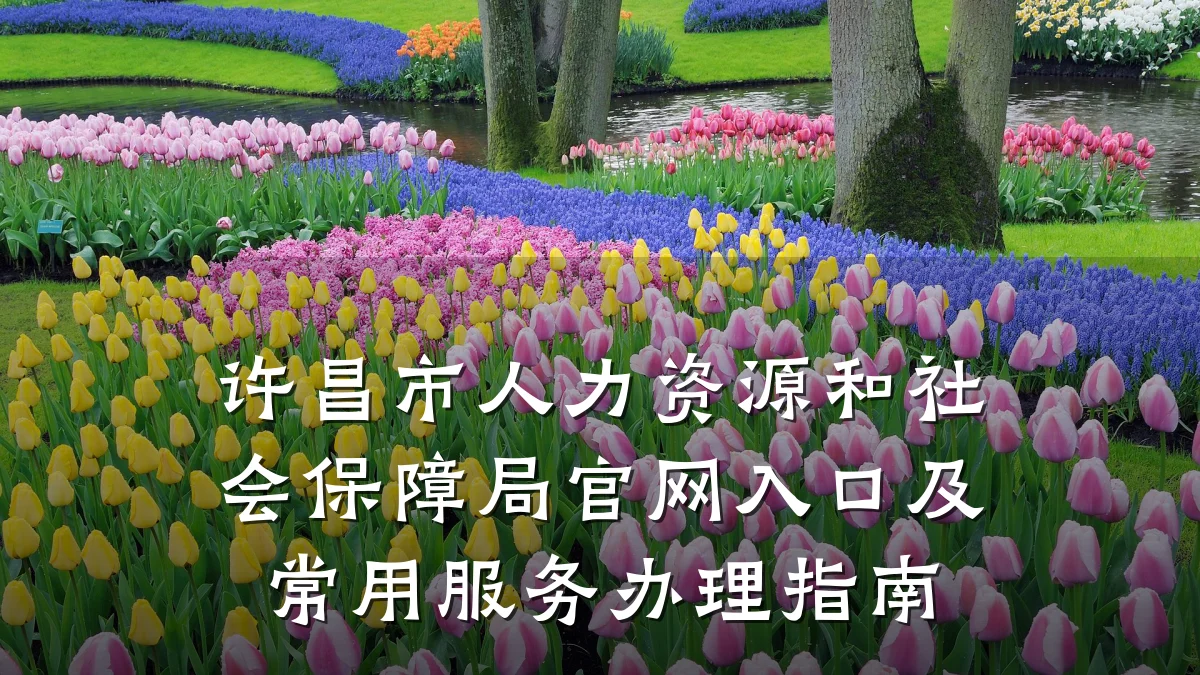 许昌市人力资源和社会保障局官网入口及常用服务办理指南