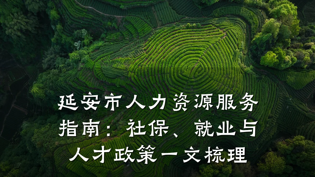 延安市人力资源服务指南：社保、就业与人才政策一文梳理
