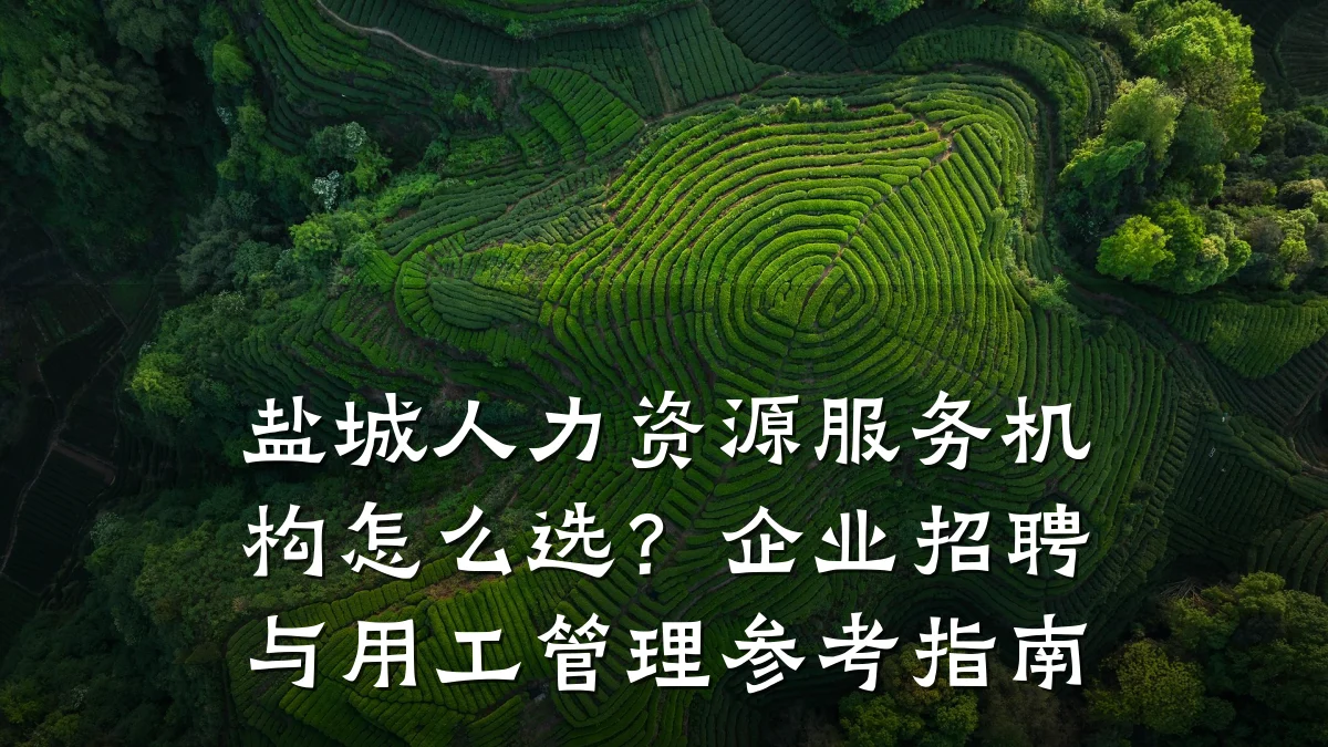 盐城人力资源服务机构怎么选？企业招聘与用工管理参考指南