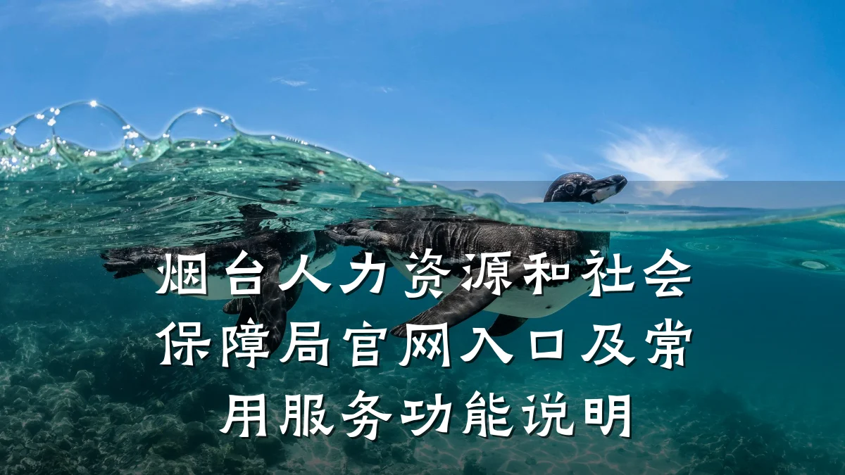 烟台人力资源和社会保障局官网入口及常用服务功能说明