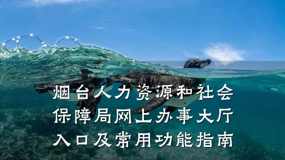 烟台人力资源和社会保障局网上办事大厅入口及常用功能指南