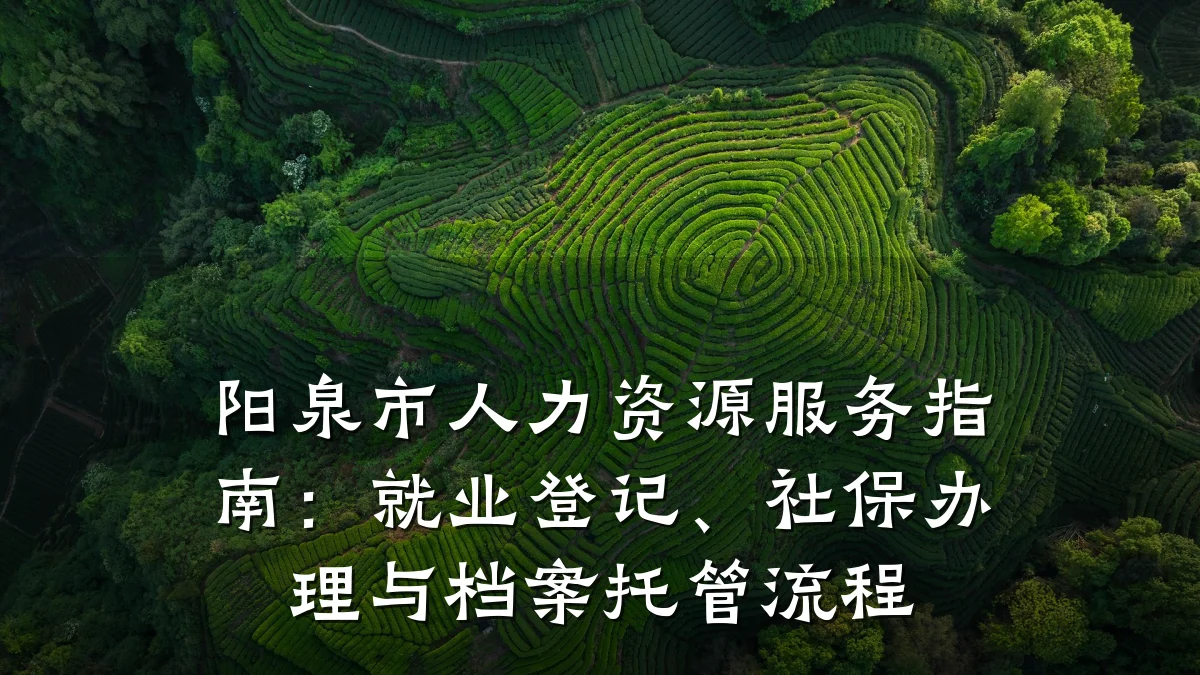 阳泉市人力资源服务指南:就业登记、社保办理与档案托管流程
