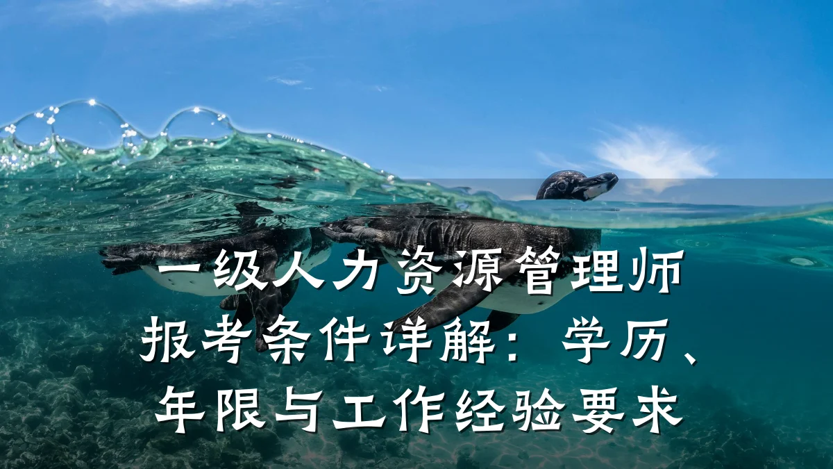 一级人力资源管理师报考条件详解:学历、年限与工作经验要求