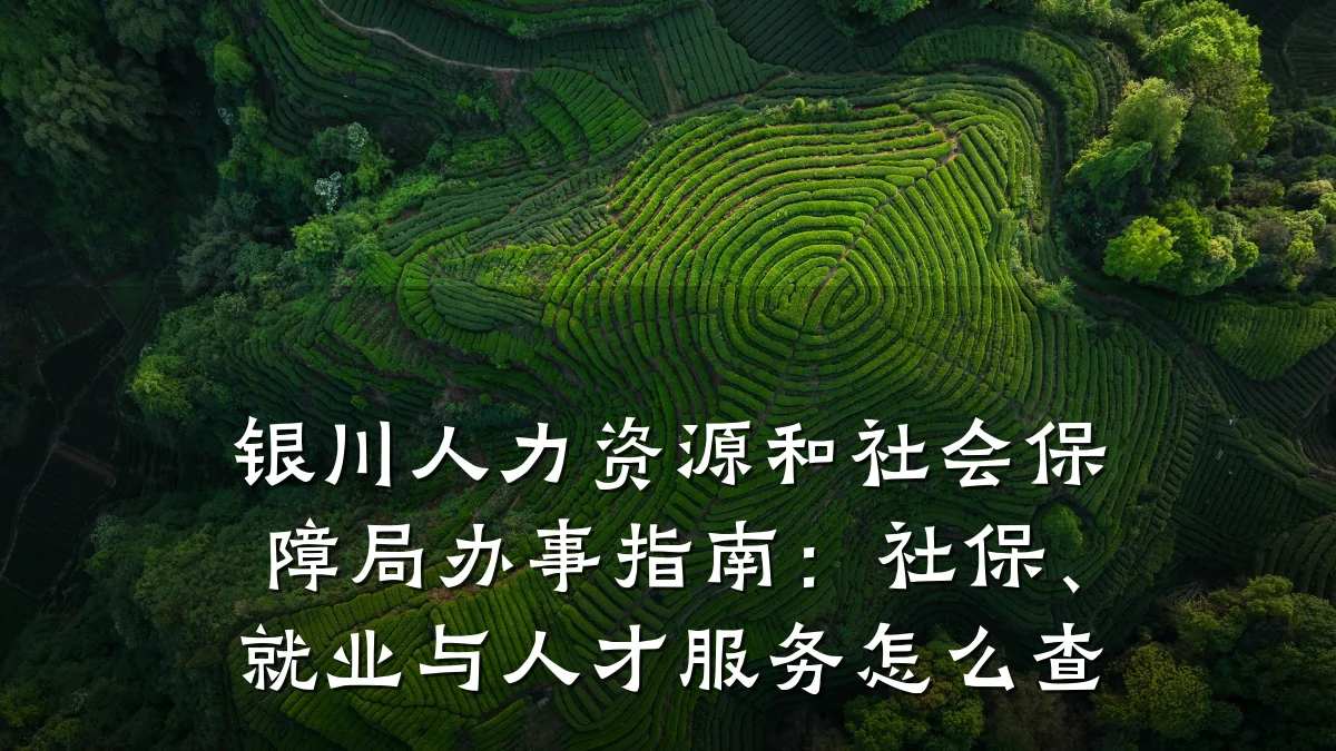 银川人力资源和社会保障局办事指南：社保、就业与人才服务怎么查