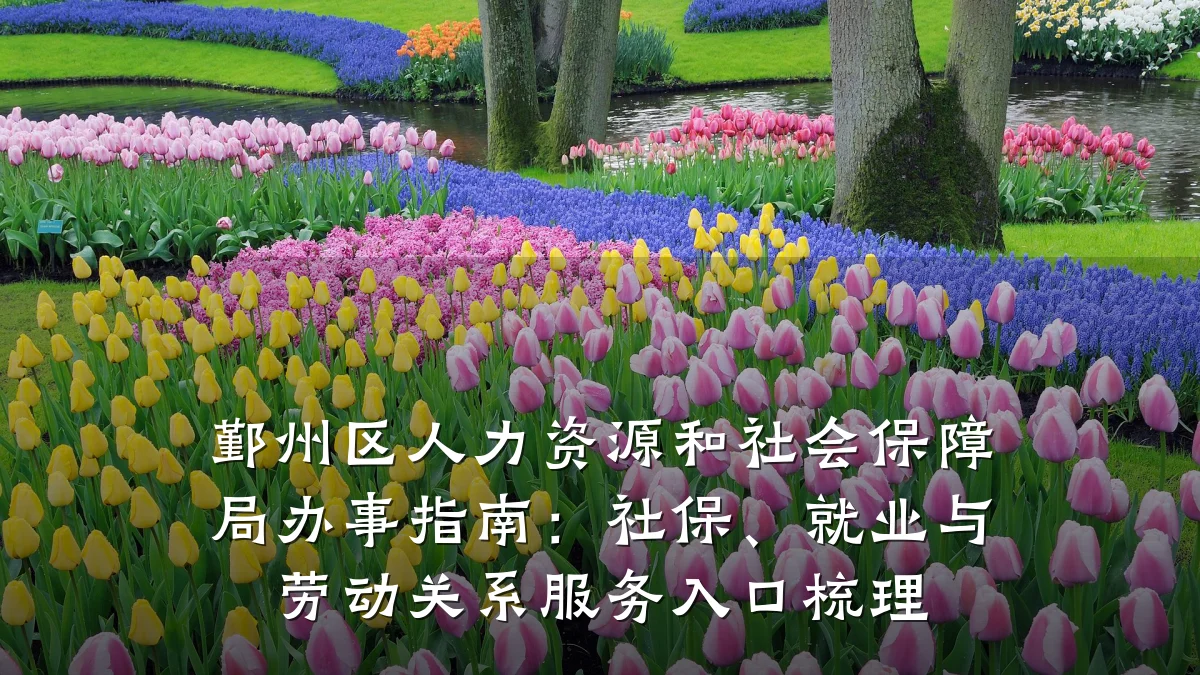 鄞州区人力资源和社会保障局办事指南:社保、就业与劳动关系服务入口梳理