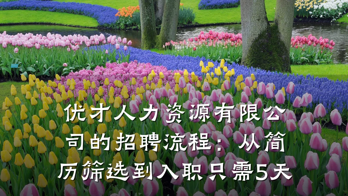 优才人力资源有限公司的招聘流程：从简历筛选到入职只需5天