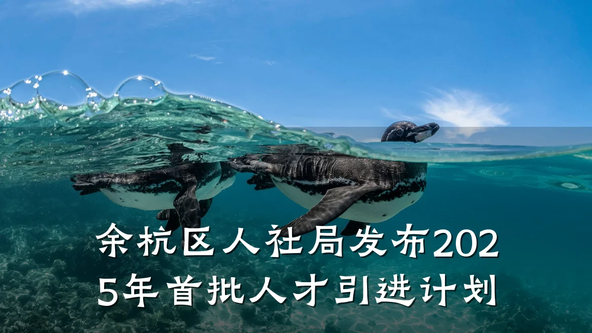 余杭区人社局发布2025年首批人才引进计划