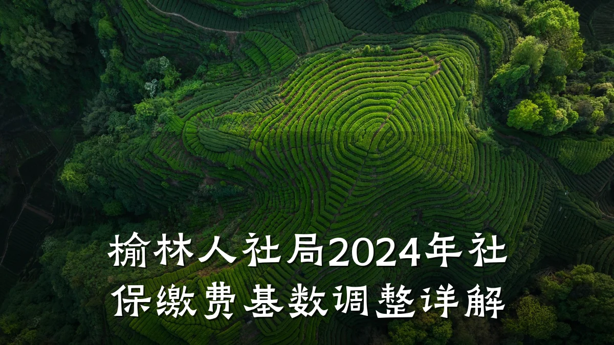 榆林人社局2024年社保缴费基数调整详解