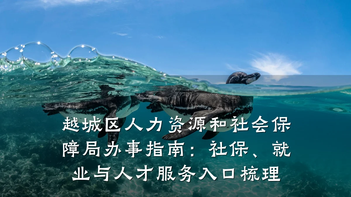 越城区人力资源和社会保障局办事指南:社保、就业与人才服务入口梳理