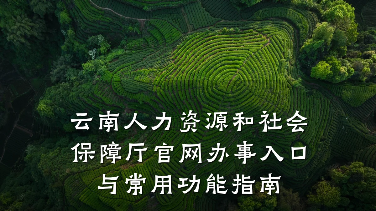 云南人力资源和社会保障厅官网办事入口与常用功能指南