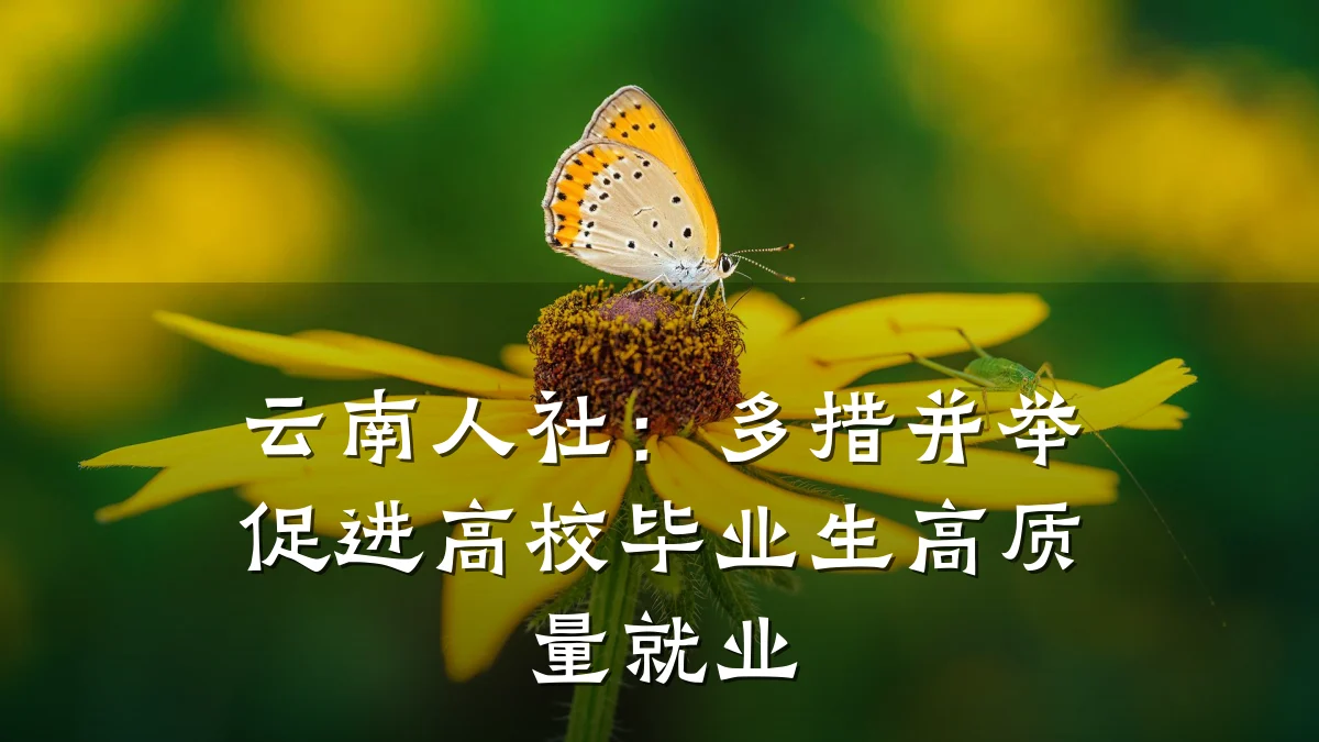 云南人社：多措并举促进高校毕业生高质量就业
