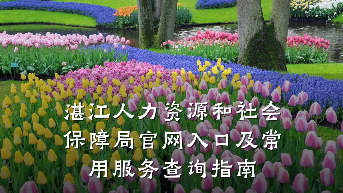湛江人力资源和社会保障局官网入口及常用服务查询指南