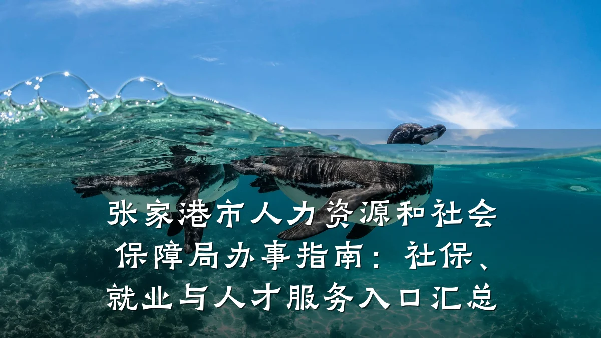 张家港市人力资源和社会保障局办事指南:社保、就业与人才服务入口汇总