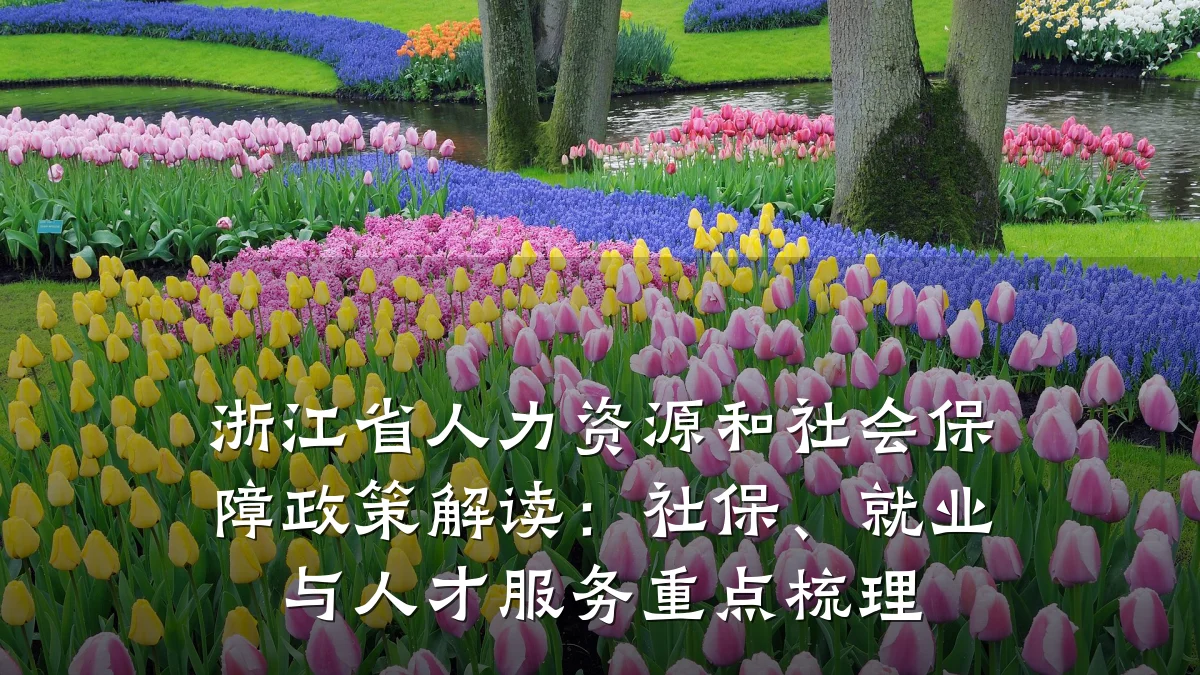 浙江省人力资源和社会保障政策解读:社保、就业与人才服务重点梳理
