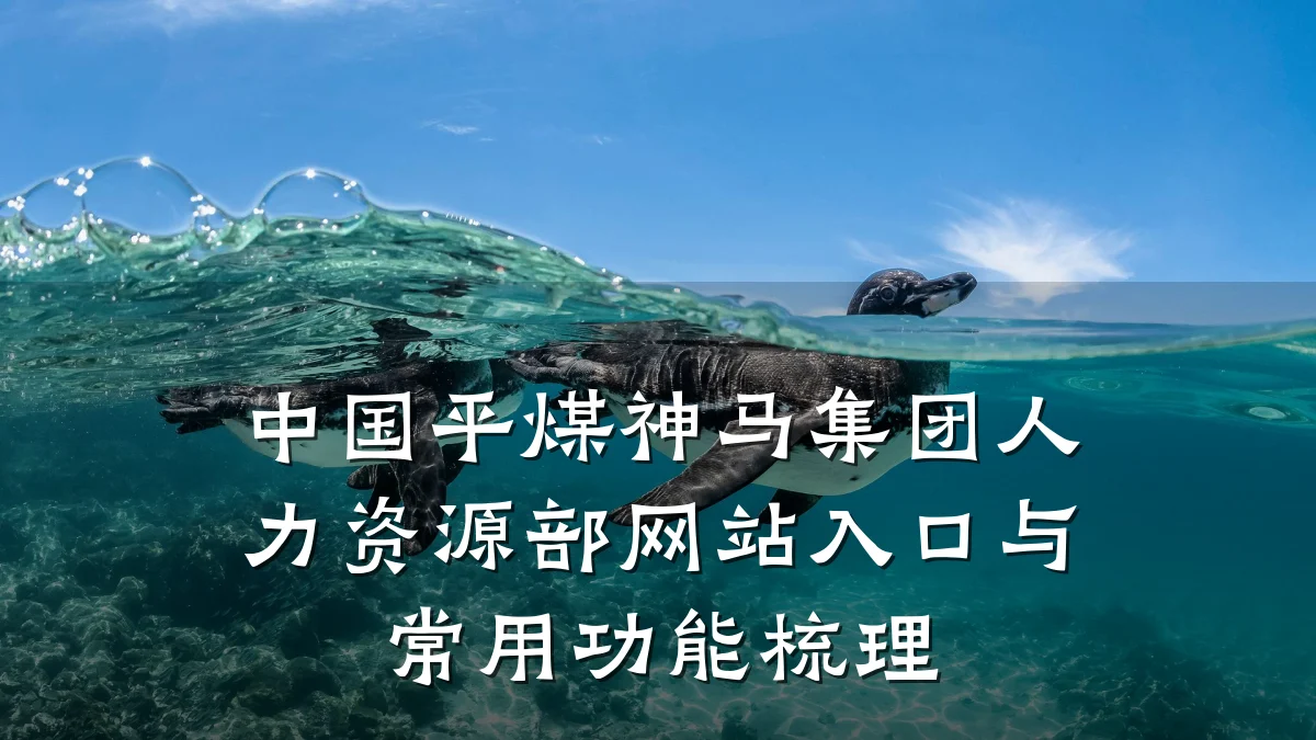 中国平煤神马集团人力资源部网站入口与常用功能梳理
