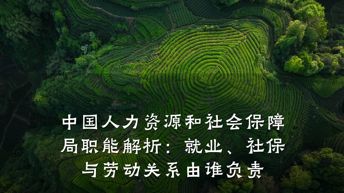 中国人力资源和社会保障局职能解析：就业、社保与劳动关系由谁负责