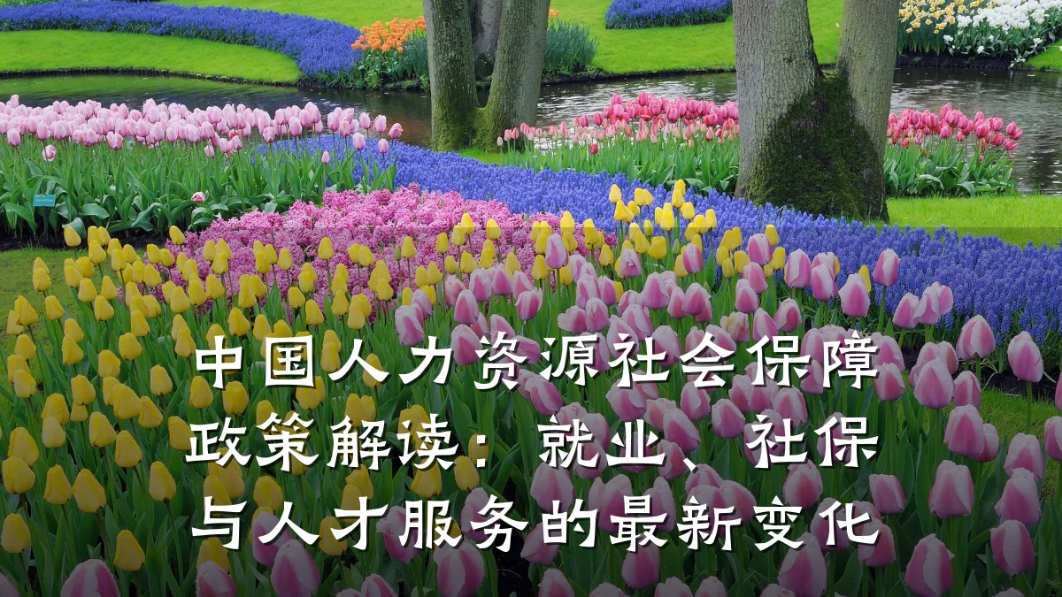 中国人力资源社会保障政策解读:就业、社保与人才服务的最新变化