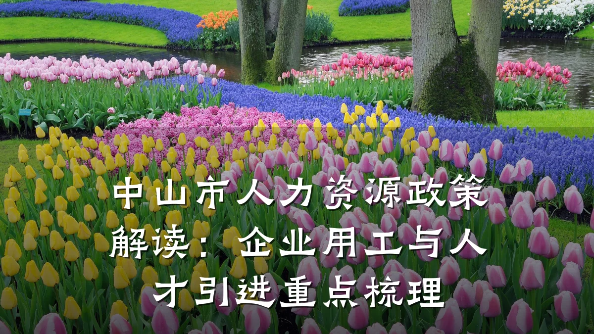 中山市人力资源政策解读:企业用工与人才引进重点梳理