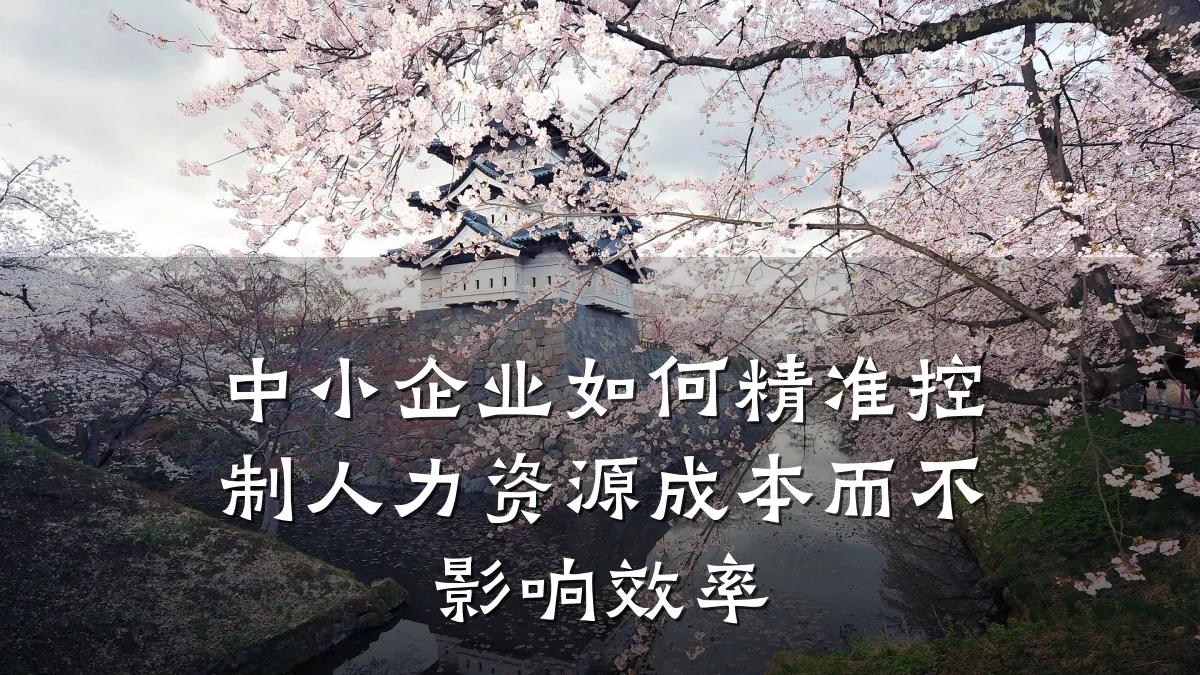 中小企业如何精准控制人力资源成本而不影响效率